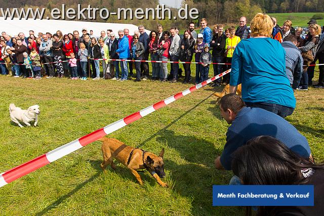 D - Foto Laudi Samstag -8108.JPG